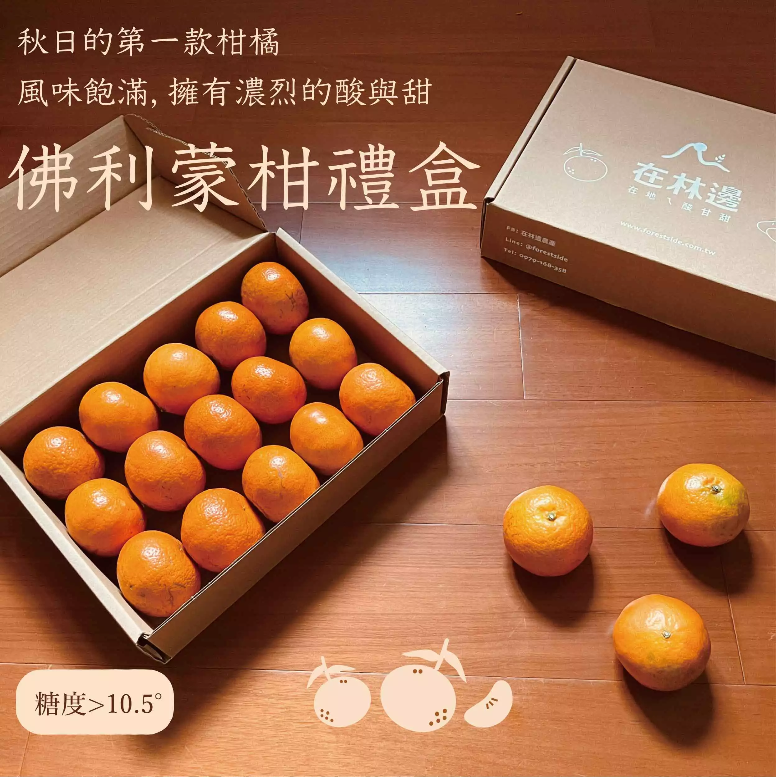 佛利蒙柑 佛利蒙柑
