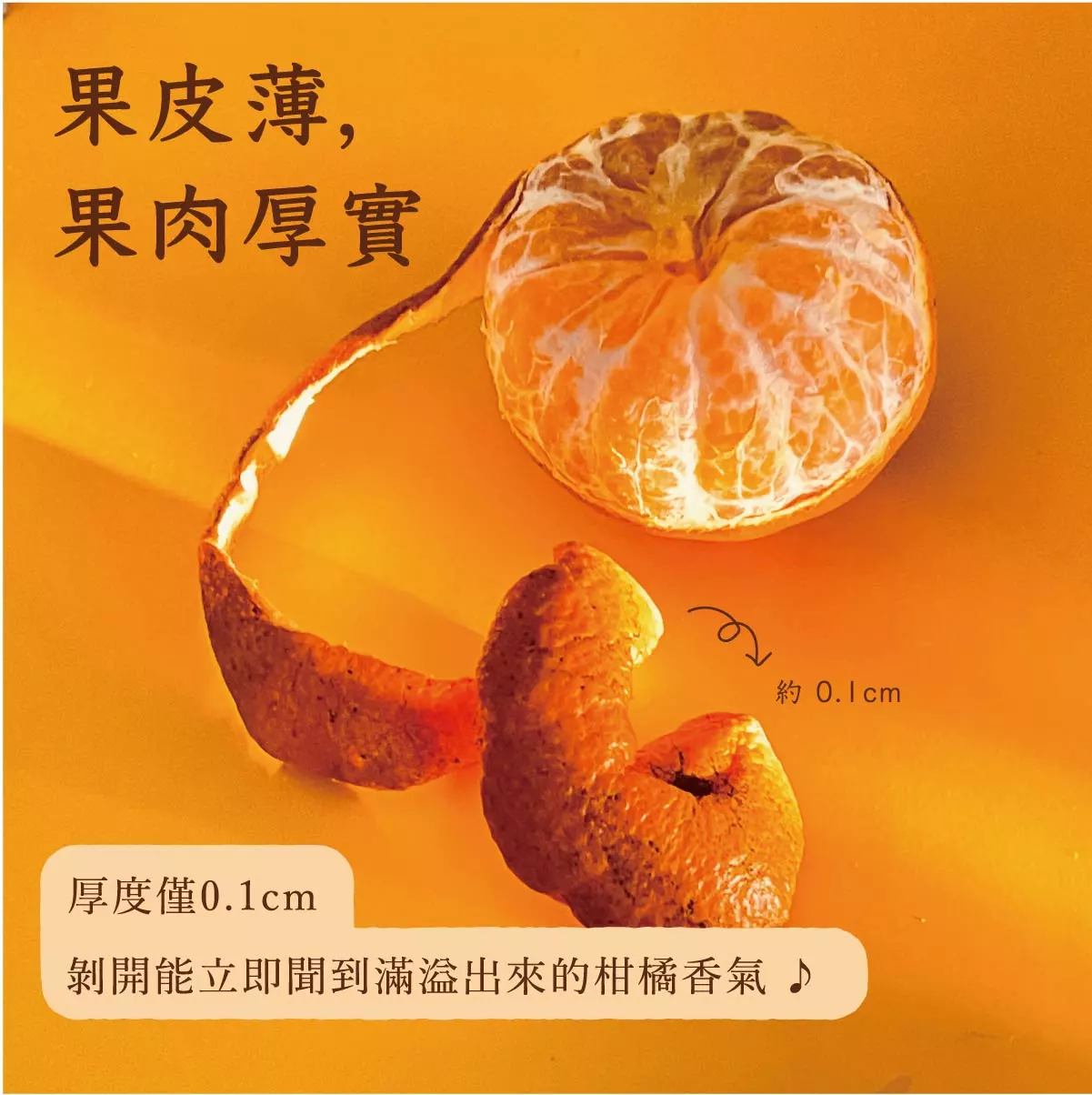 佛利檬柑圖3-02
