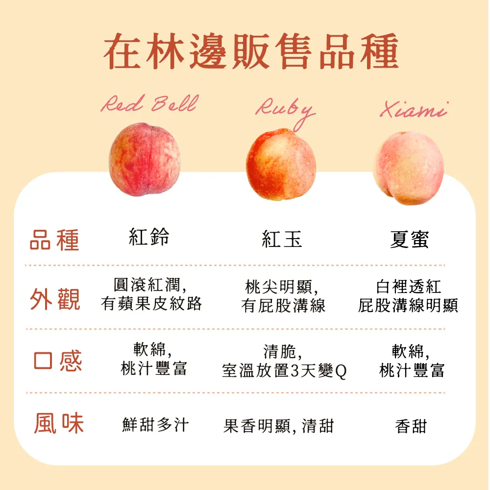 工作區域 14-100